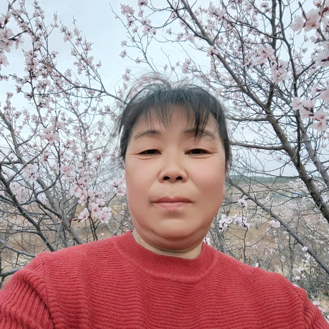 刘姐自媒体