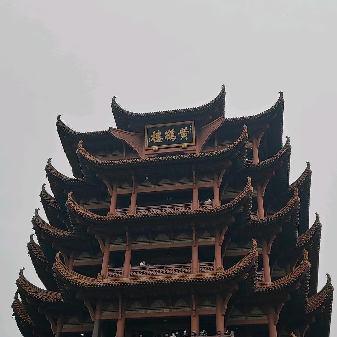哈利菠菜