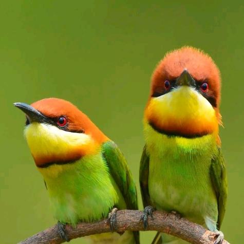 周口市盛昊新能源周口市第三幼儿园店老邓