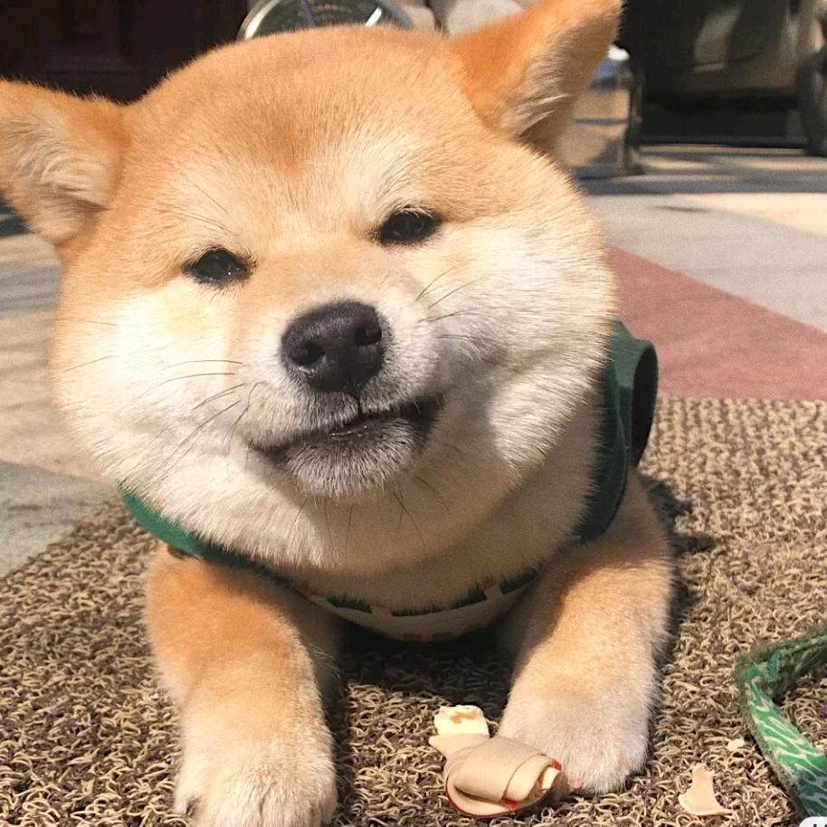 鹿眸