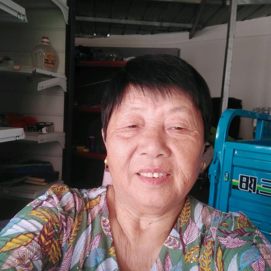 老来乐五五年羊