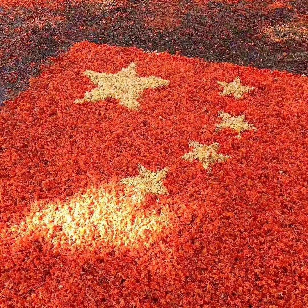 球球俊爸爸