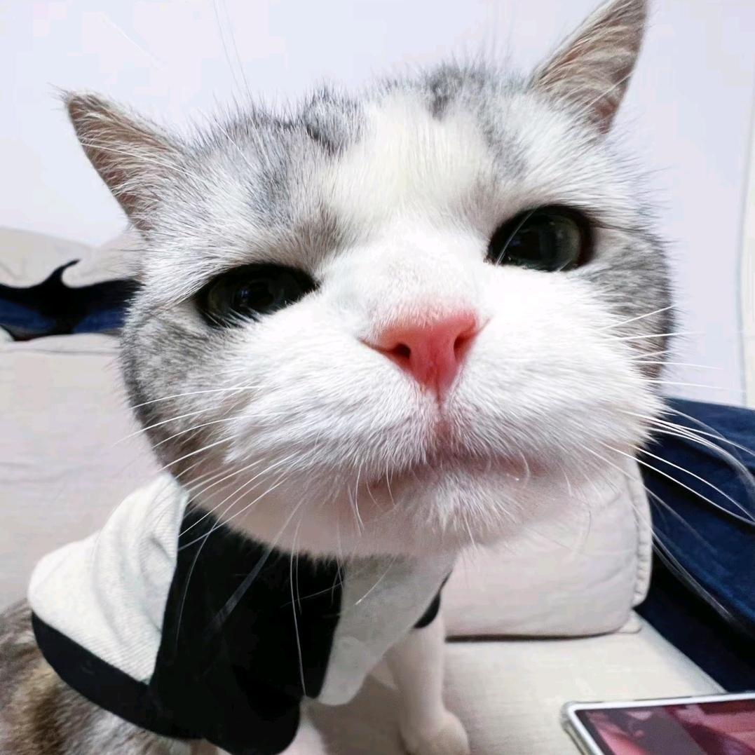 请来我的梦里