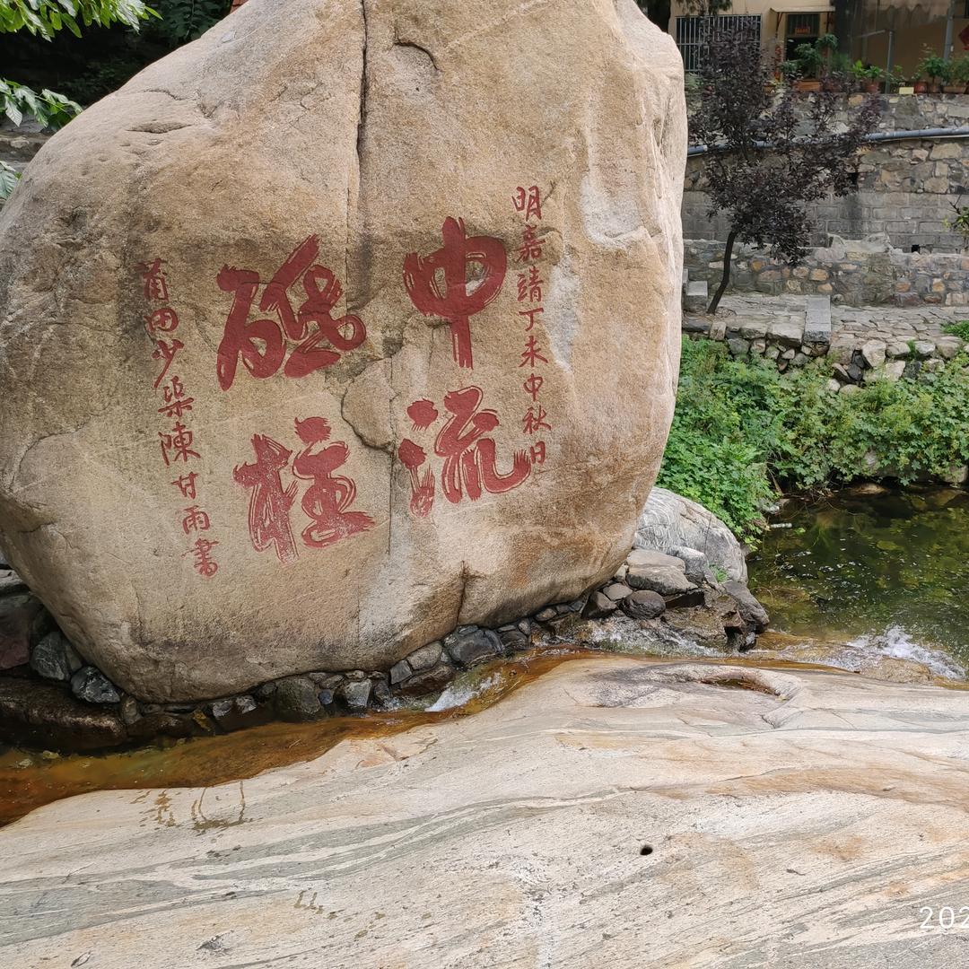 逗号的豆