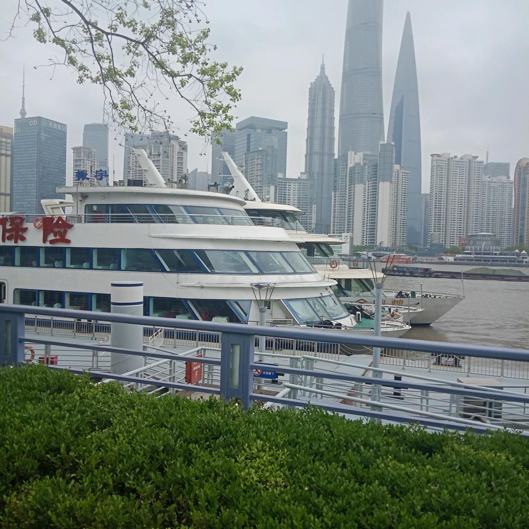 单身的丑阿姨