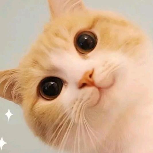 二妞