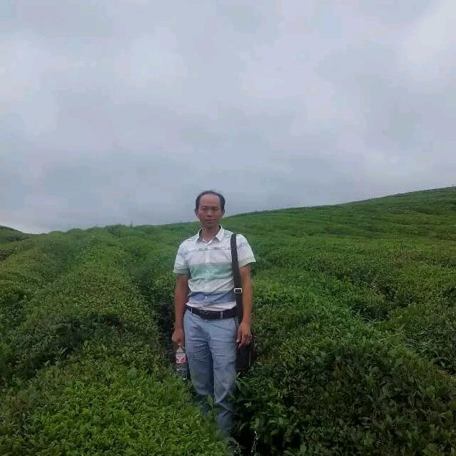咨询服务