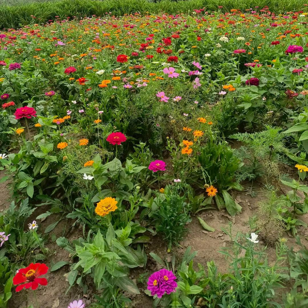 坚持就是胜利✌