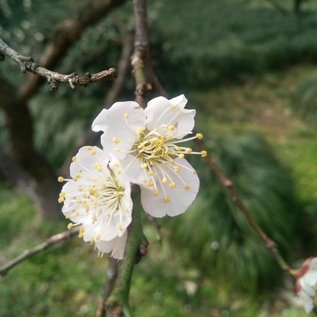 忘记背后，努力面前