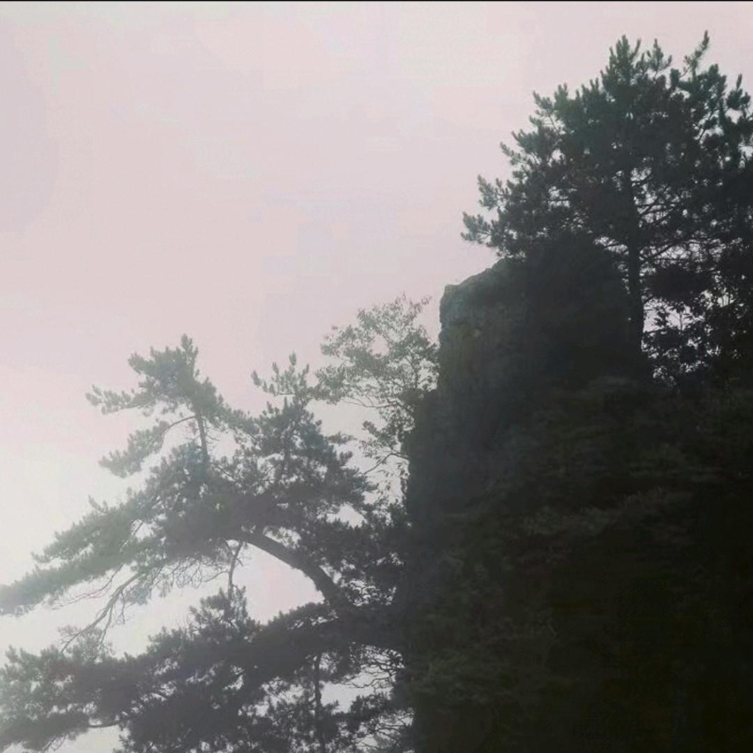 绿色心情