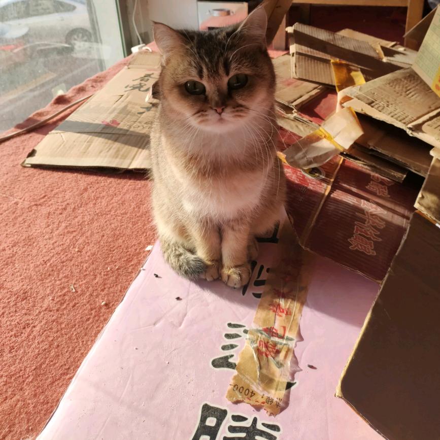 开开心火锅粮油批发