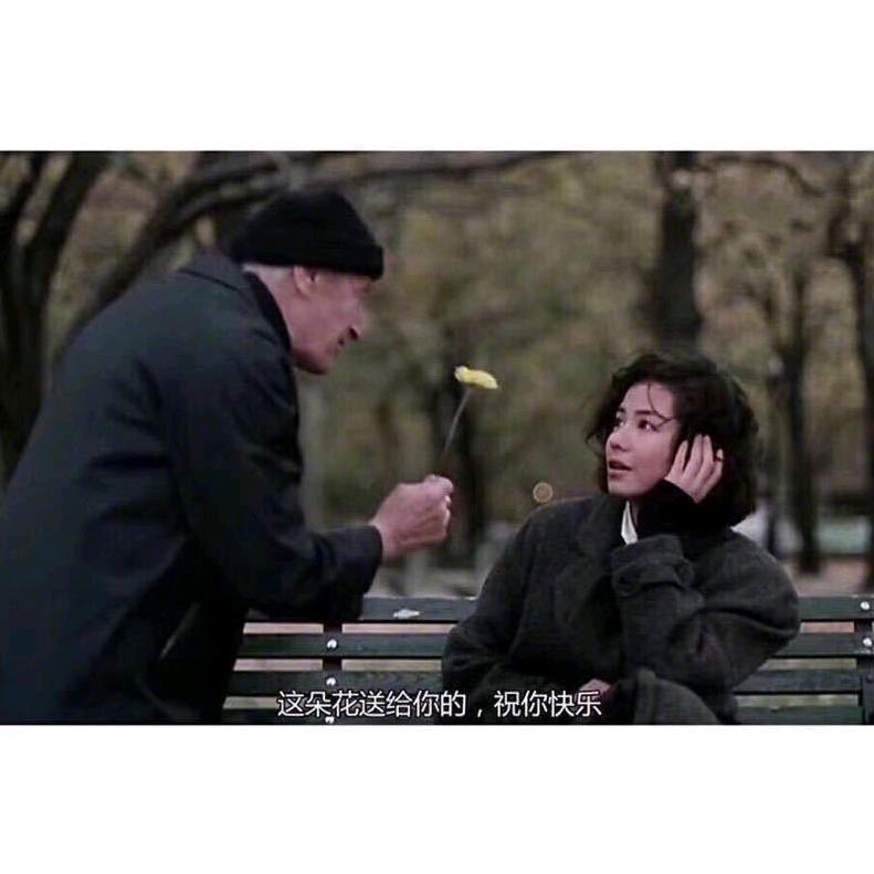 枫叶🧚‍♀️