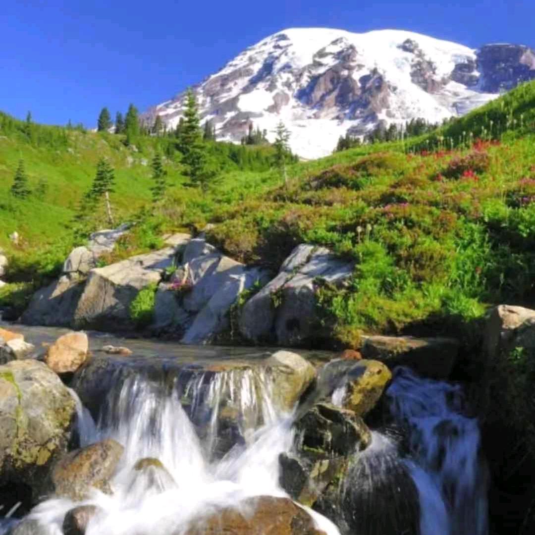 陈宝山