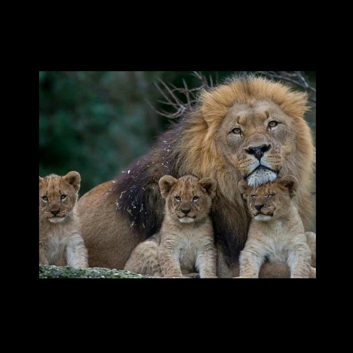 坚定理想丶信念丶相信党🇨🇳