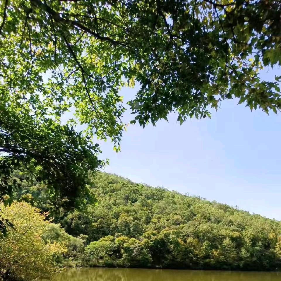 生产队东北炖菜馆（费县店）