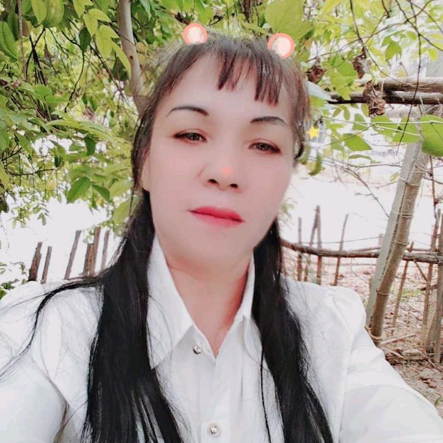 美丽的蝴蝶
