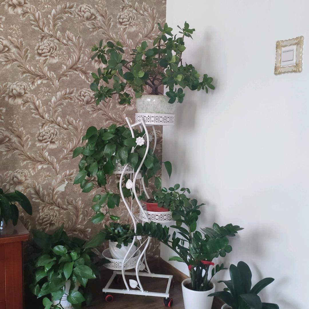 风雨