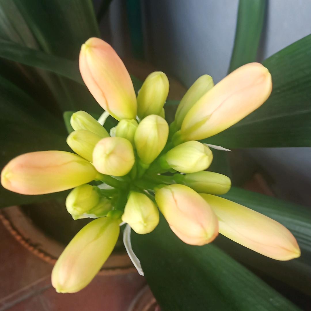 😃随遇而安😄拒连赞