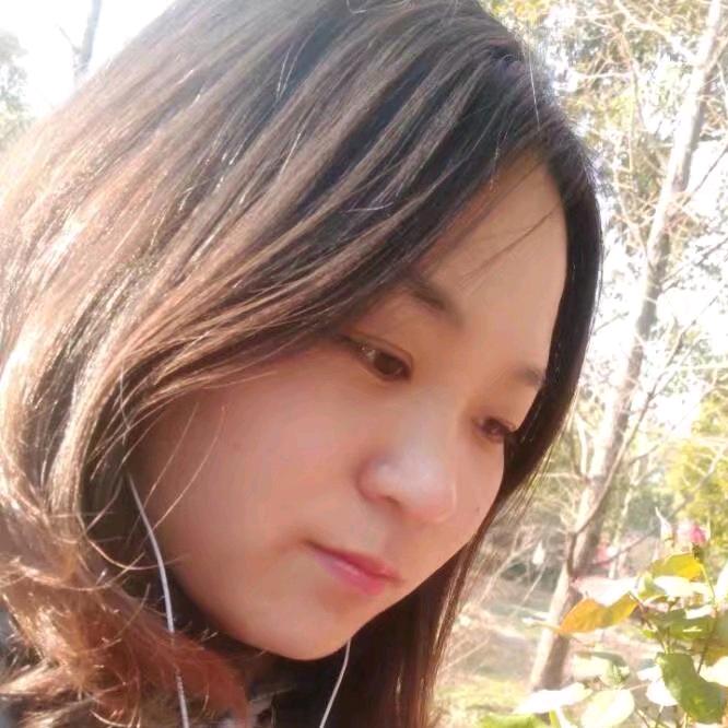阳光下的百合