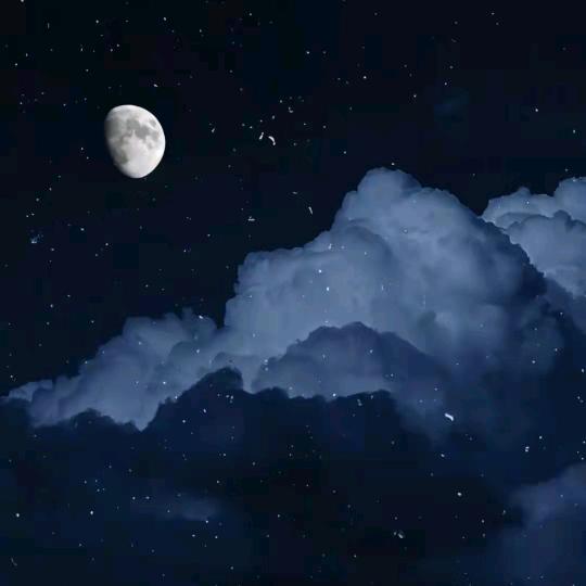 白沙也鸢尾