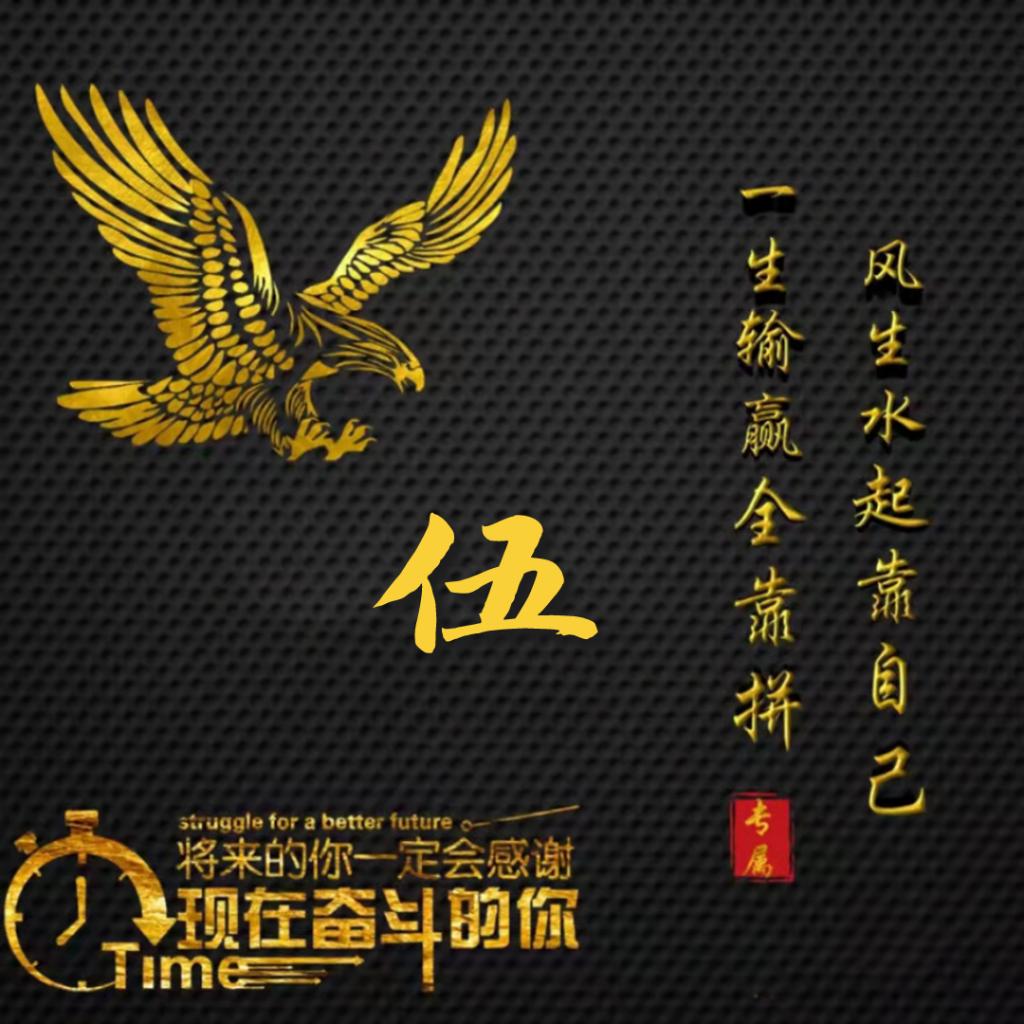 退役的我