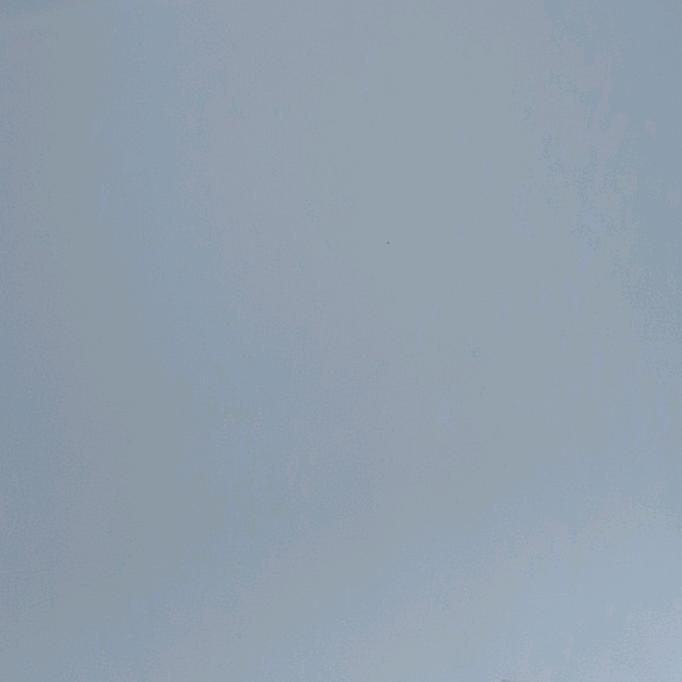 复活吧，我的暑假
