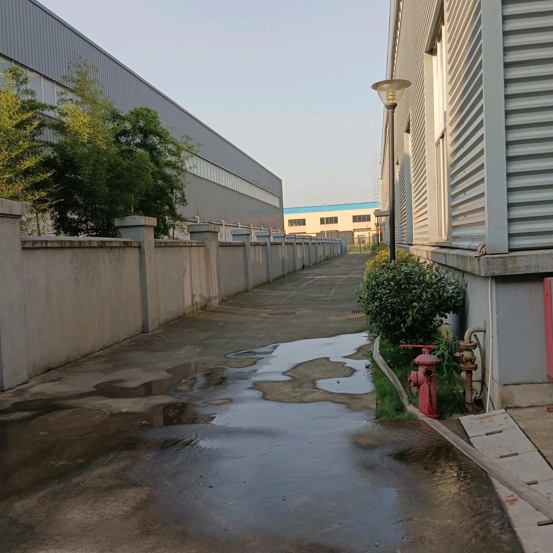 九龙
