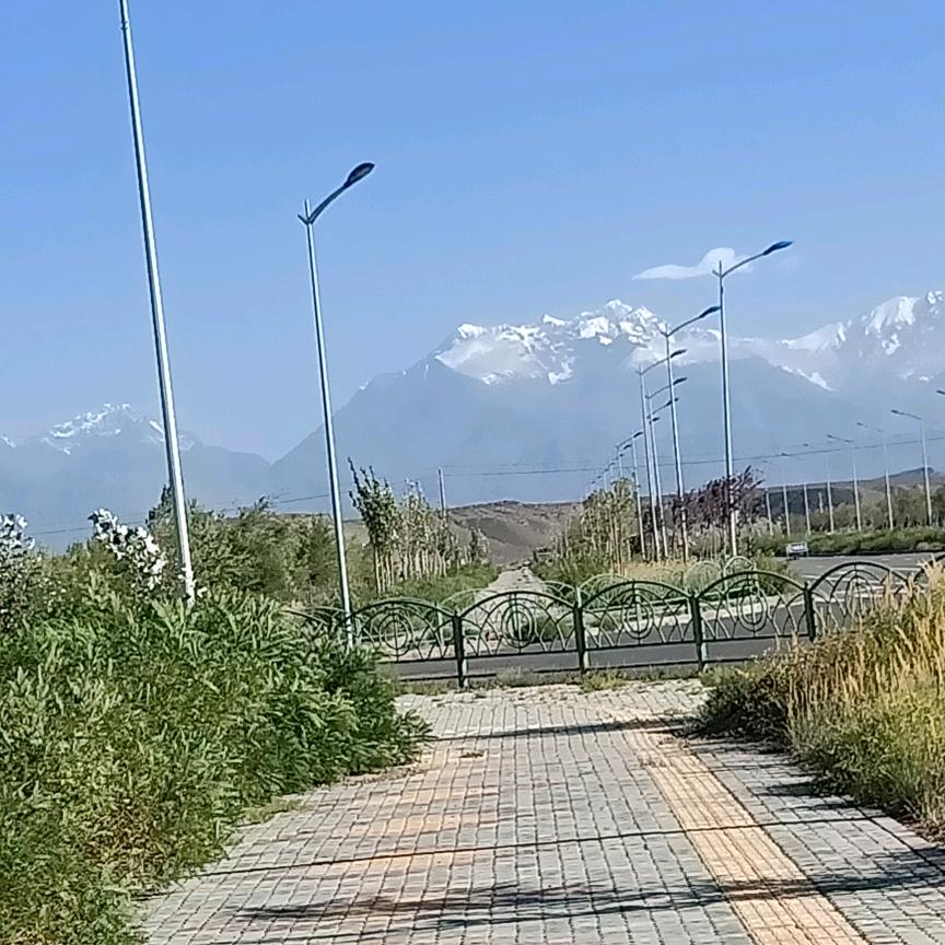 没你好孤独