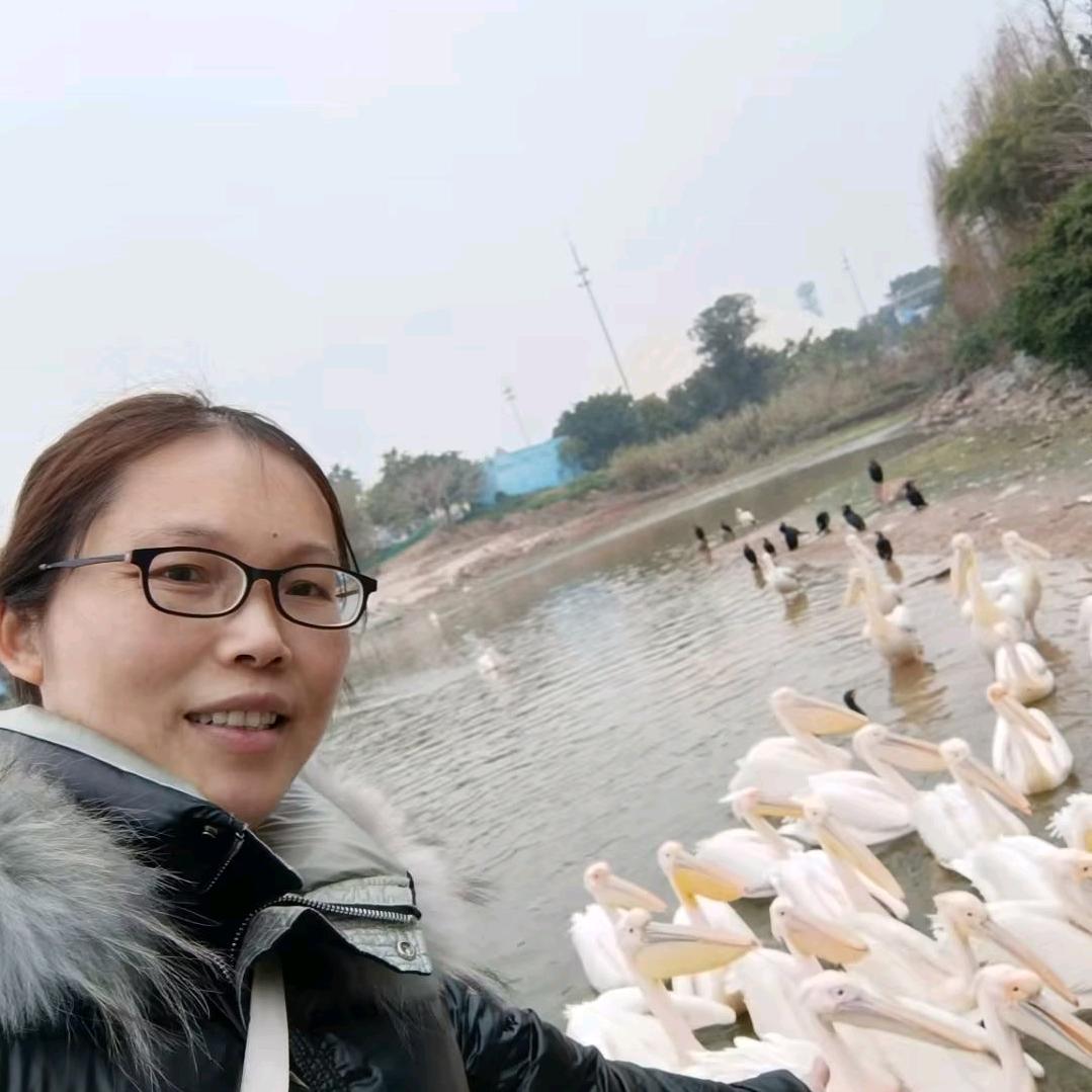 一碗清粥（有关必回）