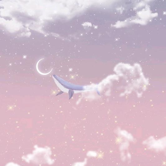 不会弹琴的小懦夫