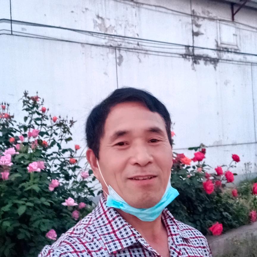 段云刚