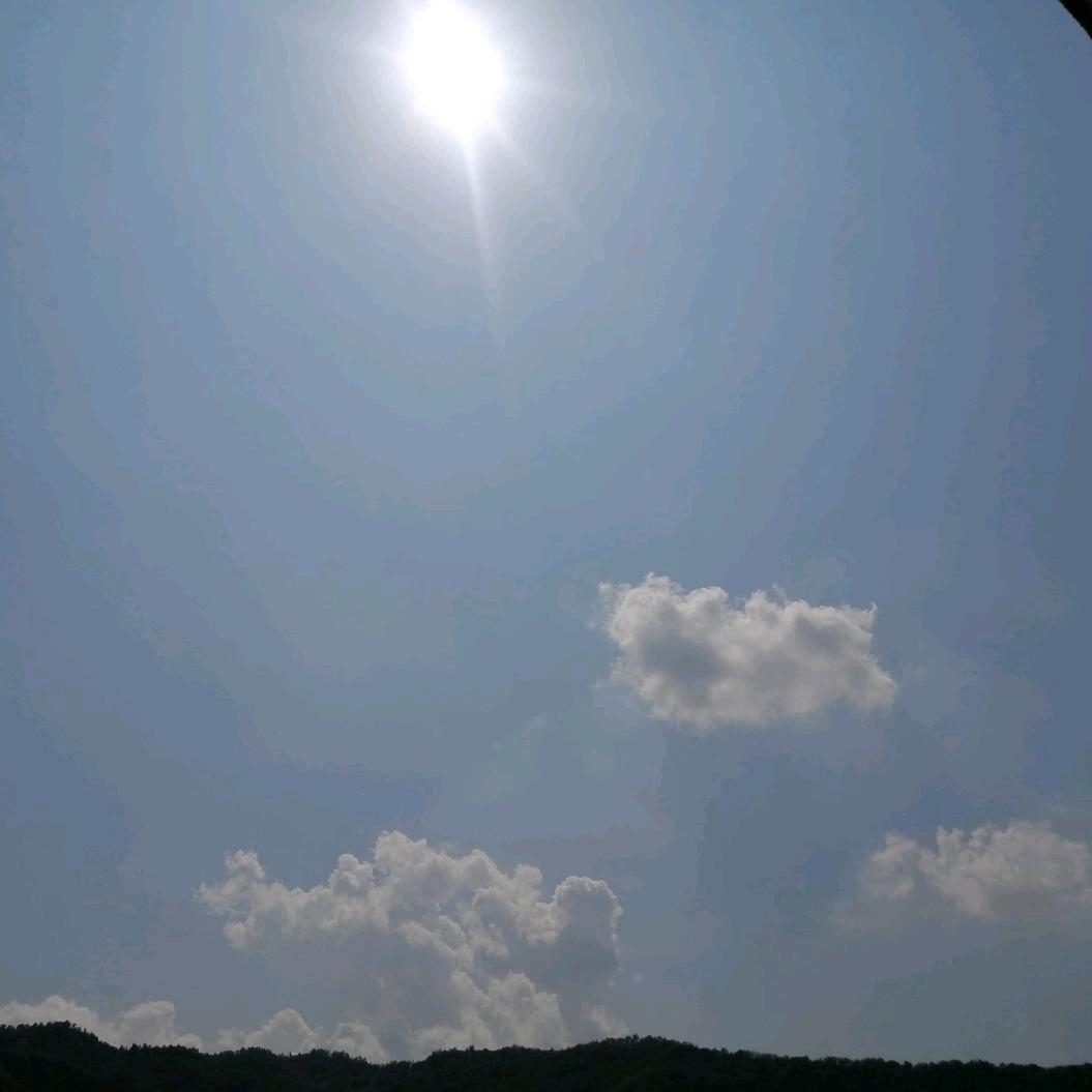 呐喊🌻🌱🎵