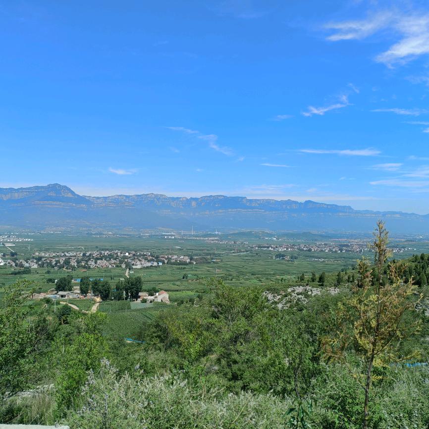 晓石（海芳鞋店小号）
