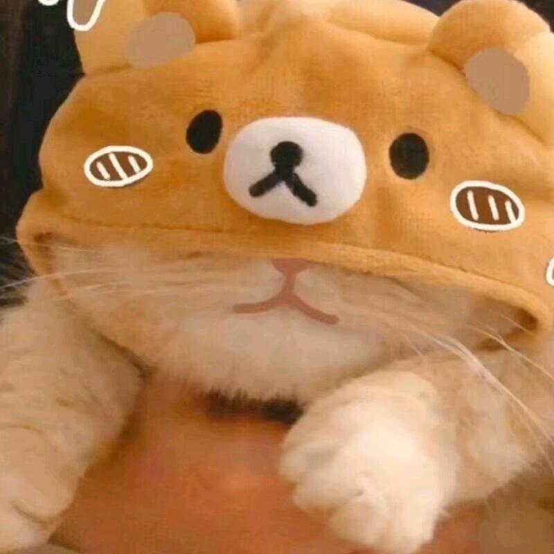 @赵
