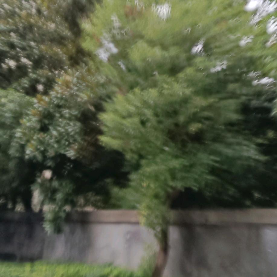 健身，安全第一(步行及抗晕健身)