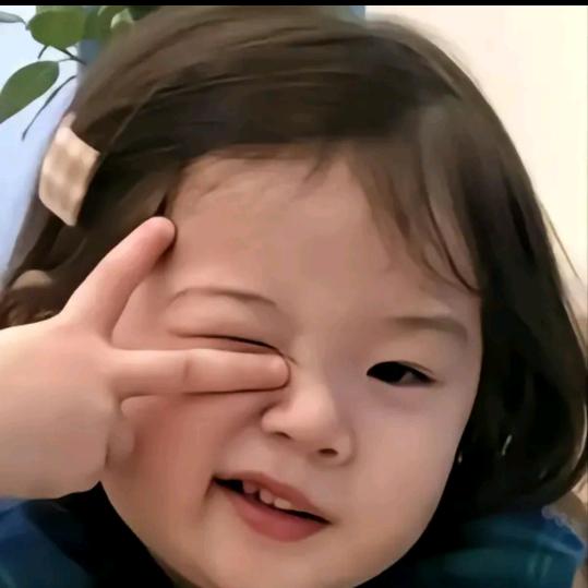 鴿子.