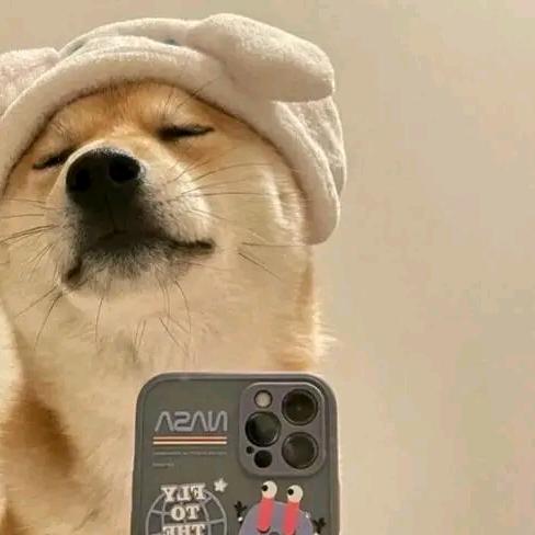 @小贾很忙(有关必回)