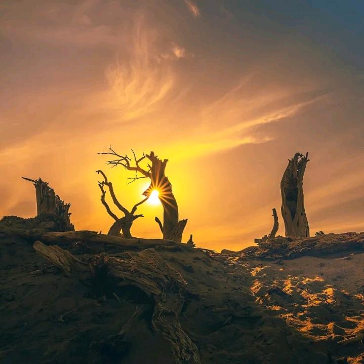 卧海听涛