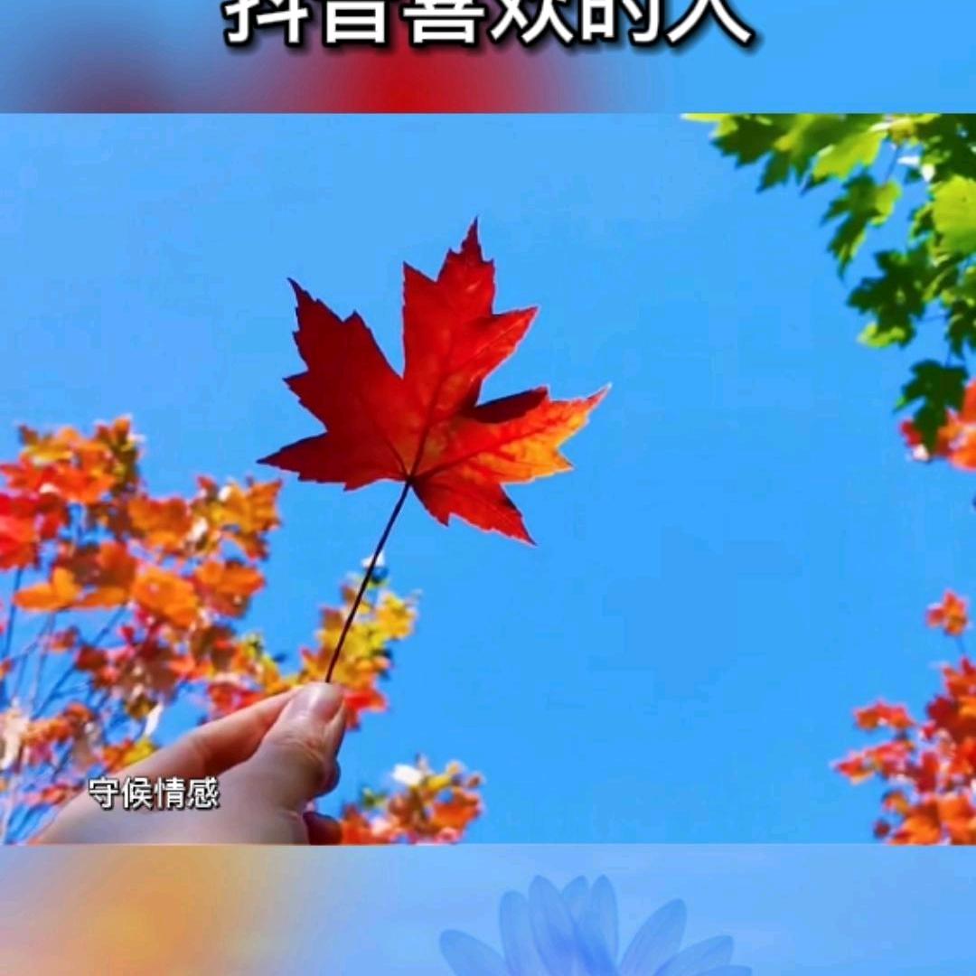 一叶小舟～超越梦想～🙏🍎🙏💐🙏