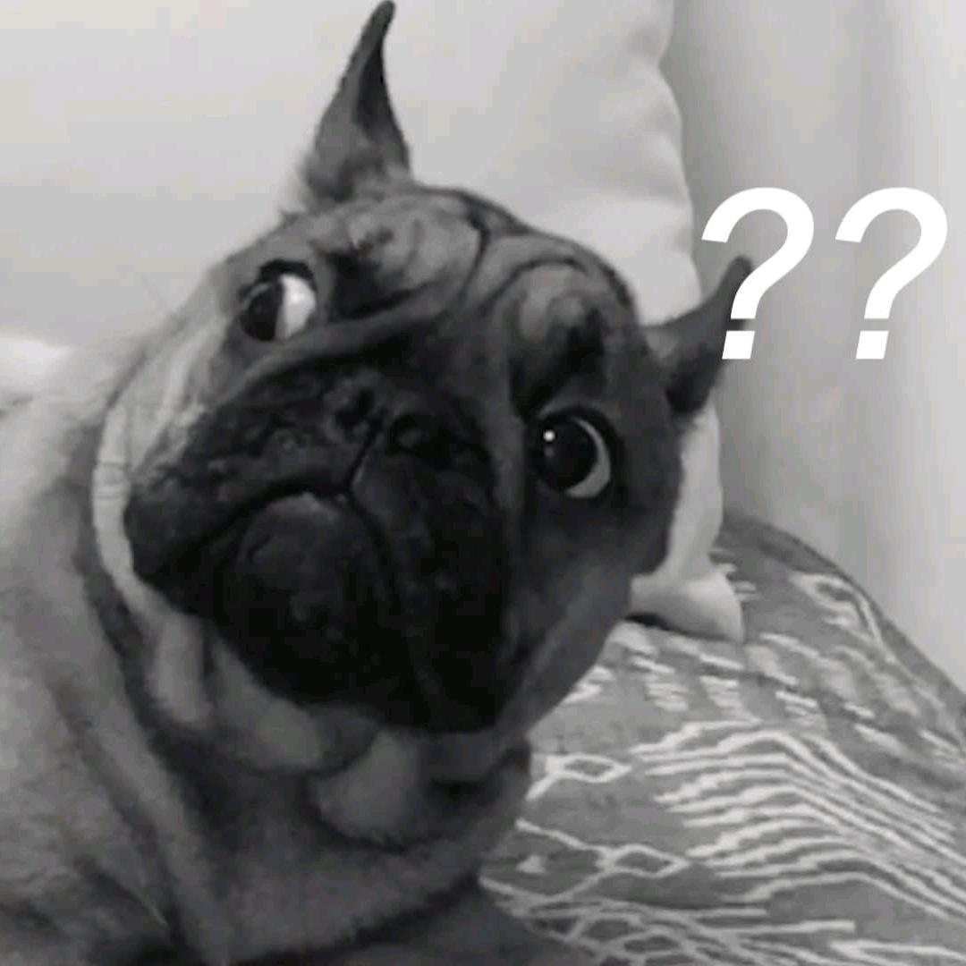 皮丘
