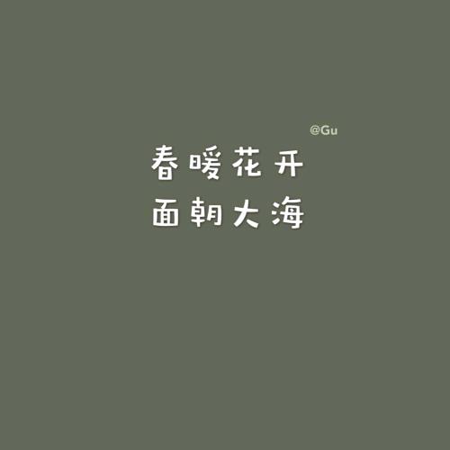 深情不及久伴