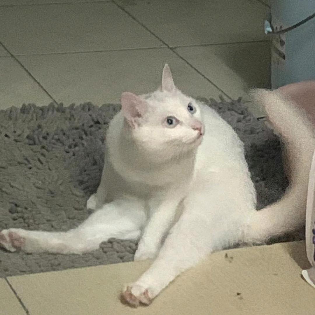 醒啦