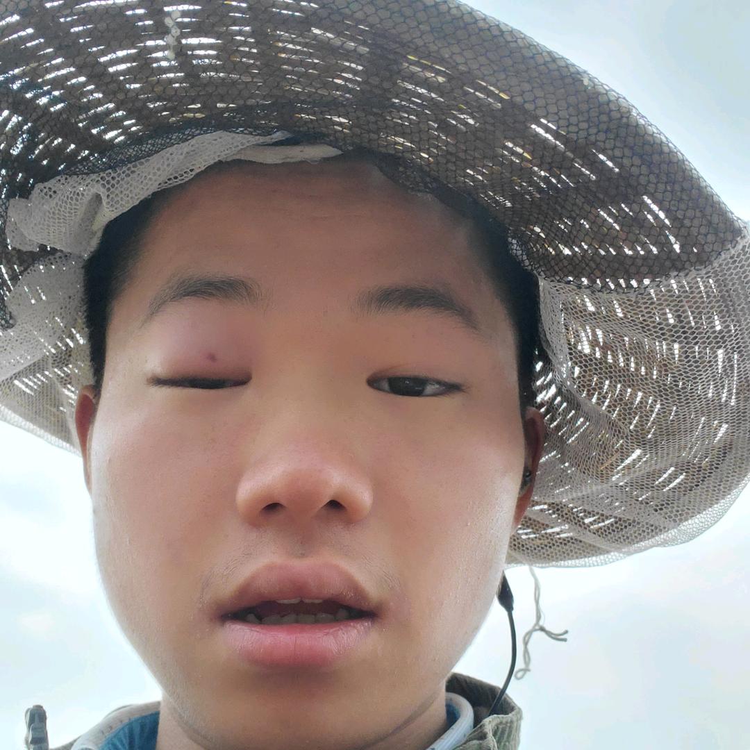 小陈家的蜂蜜