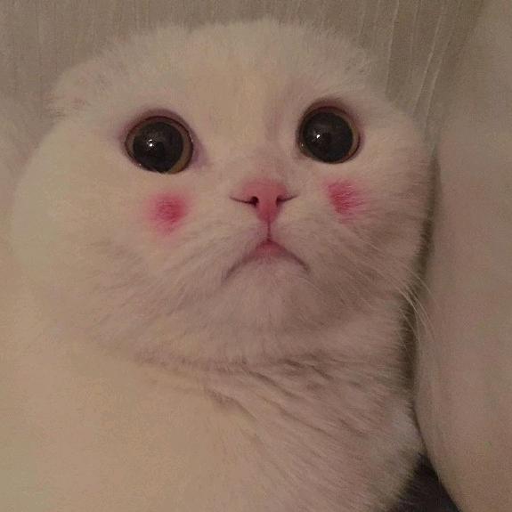 因果