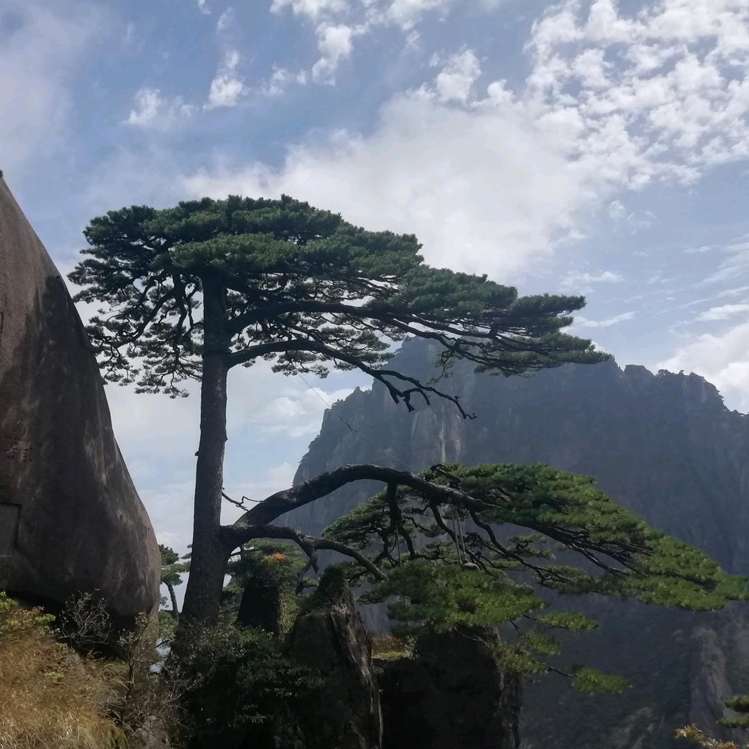 黄河黄