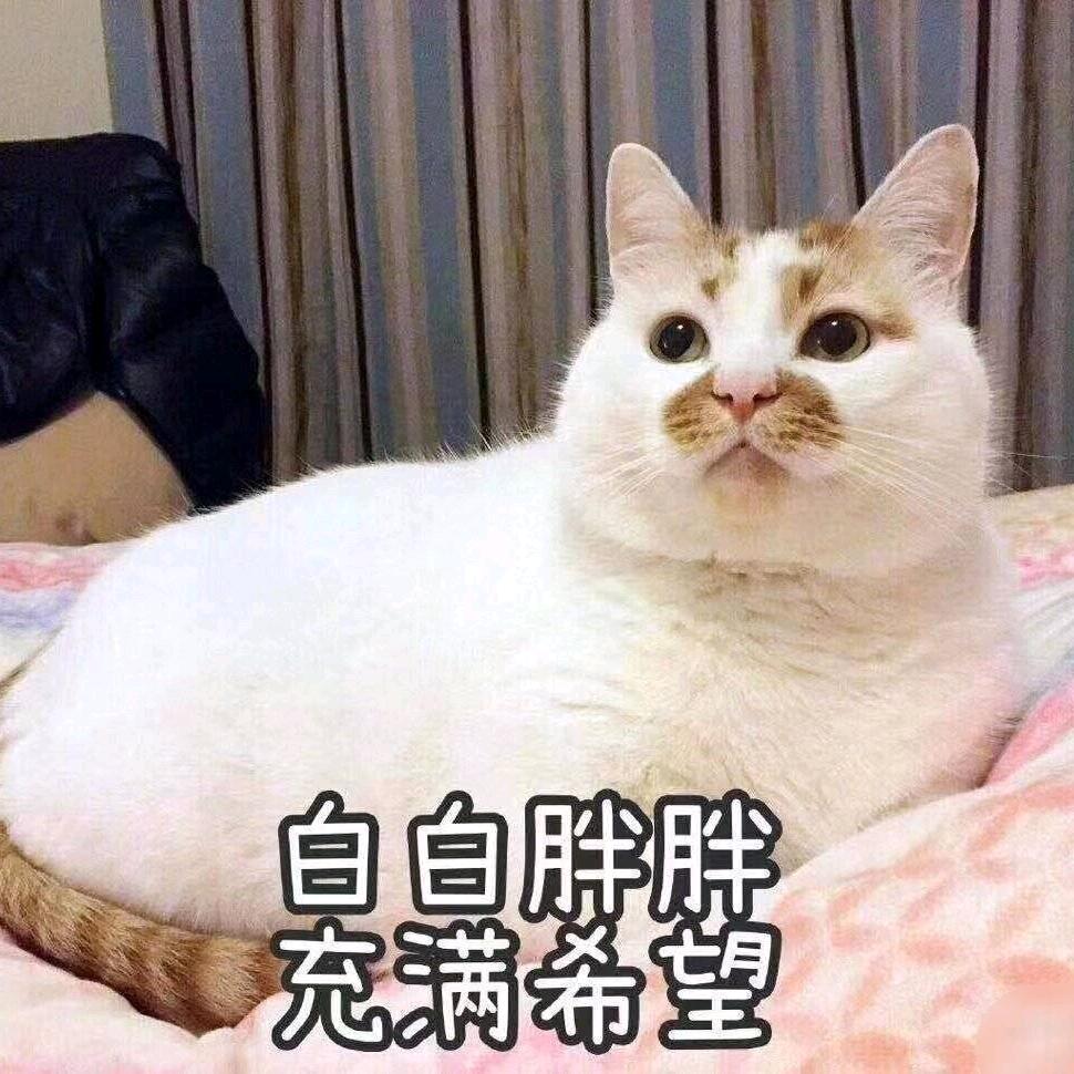 小紫💜