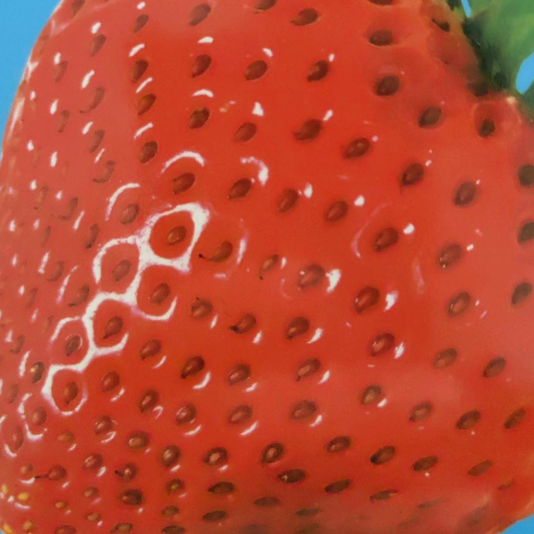 无忧无虑的少年