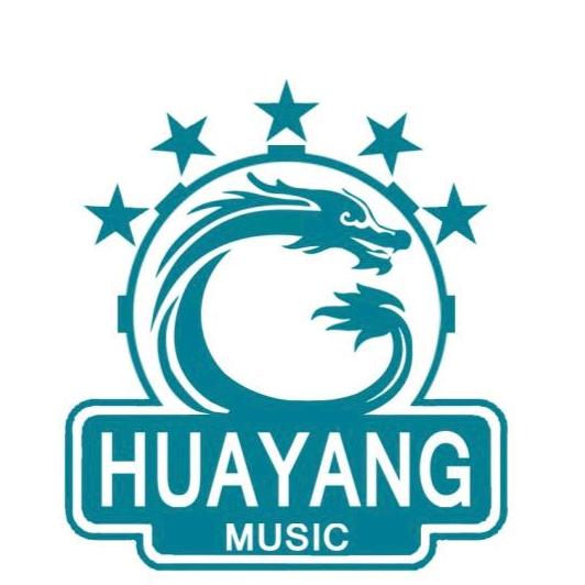 华阳国际打击乐zoci