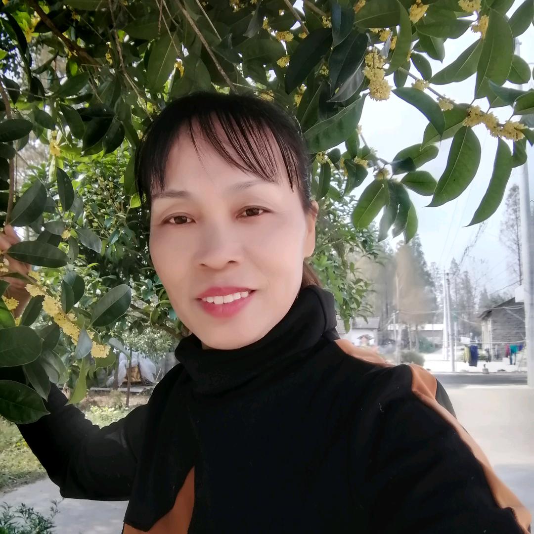 泪中的雨