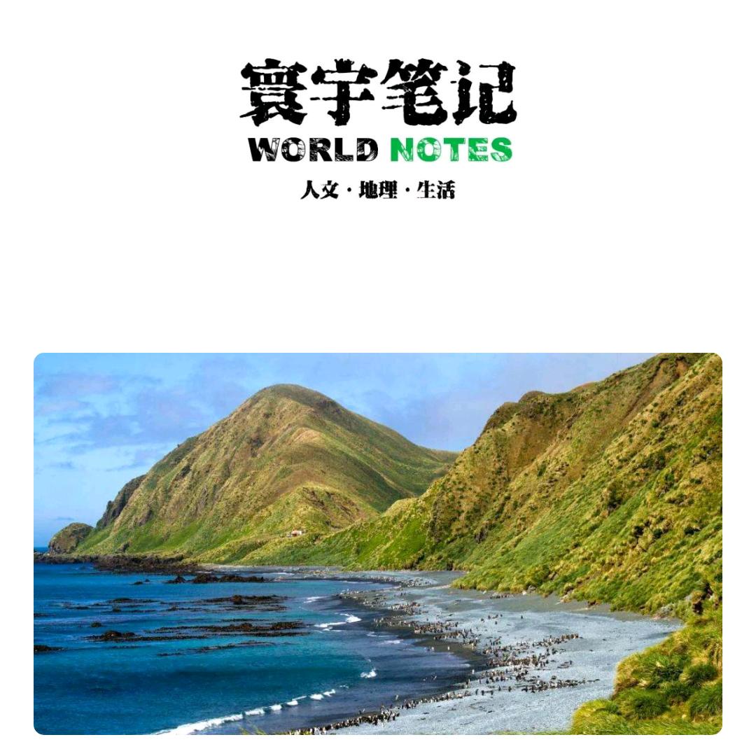 老曹